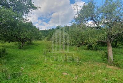 Teren agricol extravilan de 2110 mp, în Sibiel - 4
