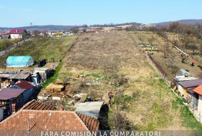 CAZANESTI, TEREN 3336mp - DESCHIDERE 27m - 3