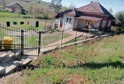 Casă cu 2 camere cu Teren 1500 Mp în Central - 1