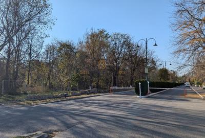 Teren Construcții intravilan de 19470 mp, în 1 Decembrie - 18