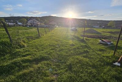 Teren de 500 mp, în Exterior Vest - 6