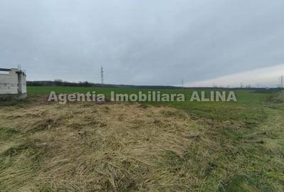 Teren 3525 mp in Satul Pestisu Mare, Jud. Hunedoara si casa neterminata... - 4