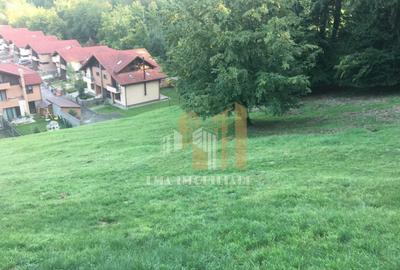 Teren de vanzare 2900 mp Brasov/Strada Ciresului - 7