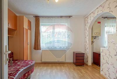 Apartament 2 camere renovat, central, Zona ISR, Ra?nov - 15