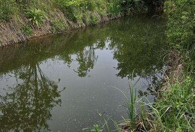 Teren în Snagov - 5