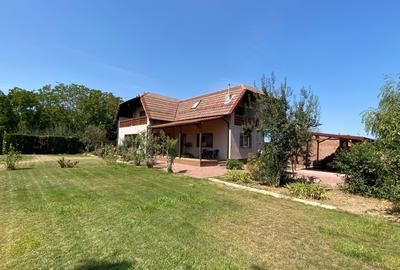 De vanzare casa individuala cu teren Gruiu , Calarasi ,Budesti - 6