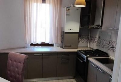 Apartament 2 camere Miroslava, langa Profi - 4