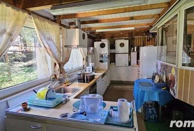 Casa de vacanta, 3 camere, teren 838 mp, 110 mp, Marisel - 11