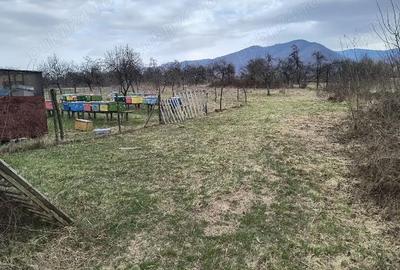 Teren de 3037 mp, în Marga - 3