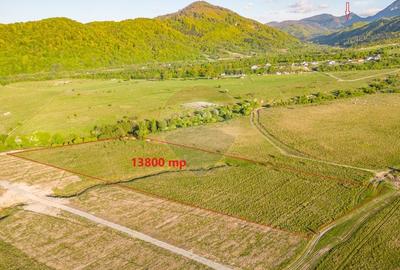 Teren deosebit/ Rasnov/13800 mp/Glajarie-Mestecanis-Poligon - 4