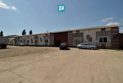 Spațiu industrial de 725 mp în Vladimirescu - 3
