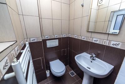 Apartament cu 2 camere decomandat, mobilat în Parcul Carol - 14