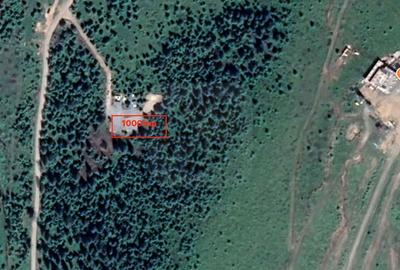 Teren de 1000 mp, în Muntele Băișorii - 7