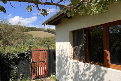 Casă cu 2 camere cu Teren 1500 Mp în Valea Lungă - 7