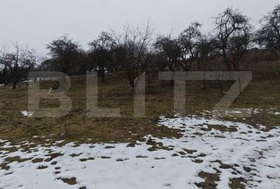 Teren de 1268 mp, în Mihai Viteazu - 5