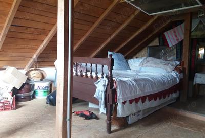 Vand urgent casa de vacanta o camera cu pod in Ghizdaru - 4