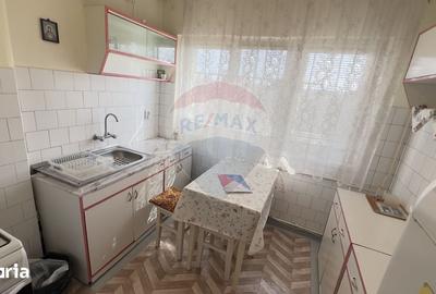 Apartament cu 3 camere semidecomandat, mobilat în Podgoria - 13