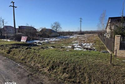 Teren de 5000 mp, în Răzvad - 7