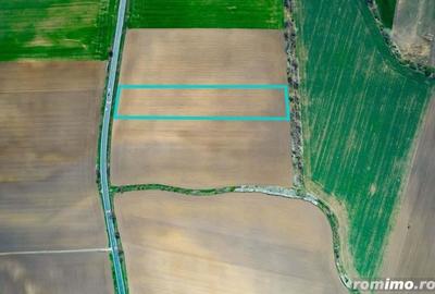 Teren extravilan intre Arad ?i Zimand - 3