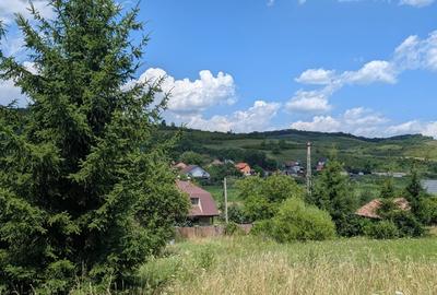 Ocazie! Teren 5.735 mp Poienița, intravilan, utilități, 7.5 €/mp - 10