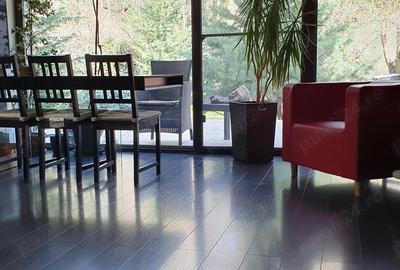 Vila P+1 langa padure, Baneasa, Sector 1, Bucuresti - 4