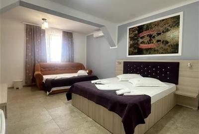 Pensiune Moderna si Profitabila in Vama Veche - Business la Cheie - 6