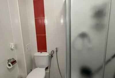 Apartament cu 3 camere semidecomandat în Theodor Pallady - 12