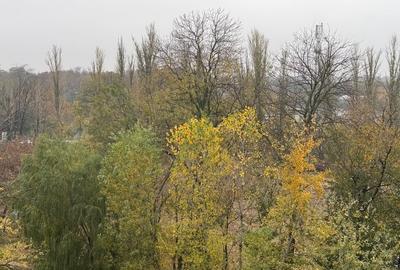 Up-Site - 2 Camere - Calea Floreasca/Lacul Floreasca | Parcare + Boxa Incluse - 14