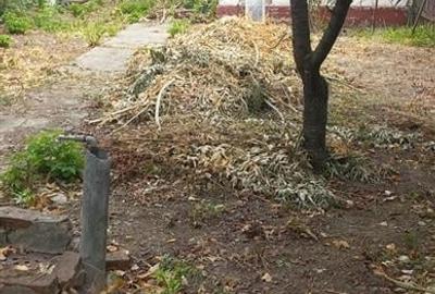 Vanzare teren Bucuresti Noi - Parcul Bazilescu - 2