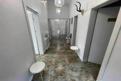 Spațiu comercial, de 66 mp, în Brazda lui Novac - 8