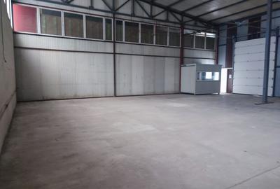 Hala industriala depozitare/productie, zona Grivitei-Dedeman, 230mp - 6