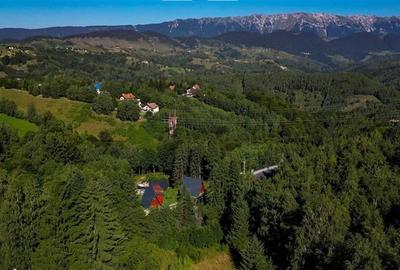 FILM! Ansamblu in circuit hotelier,5.700mp teren,Moieciu,constructie 2025 - 31