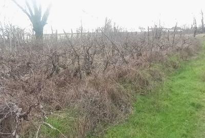 Casă cu 4 camere în Olari - 3