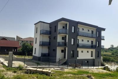 Casă cu 4 camere în Băile Felix - 3