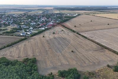 Ocazie investitie, teren intravilan Tamasi / Buftea - 2