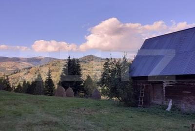 Casa la munte, cu teren 13383 mp, zona Horea - Apuseni - 4