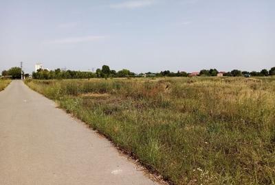 TEREN CONSTRUCTII-CORBEANCA-TAMASI-PRET IMBATABIL-LANGA PADURE-POZITIE BUNA - 3