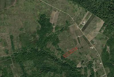 Spațiu comercial, în Central - 3