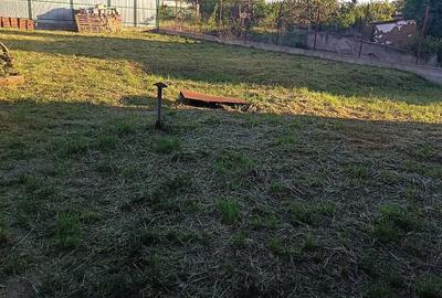 Casă cu 2 camere cu Teren 400 Mp în Șofronea - 2