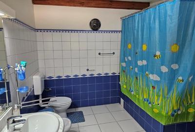 Vila impresionanta 11 Camere Iancu Nicolae | Piscina | Teren 900 mp - 31