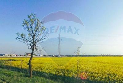 Spațiu comercial, în Nord - 4