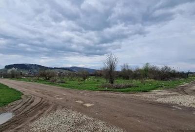 Teren Intravilan 800 mp Sanpetru Teren Intravilan 800 mp Sanpetru - 2