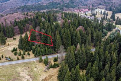 Teren cu potential:1.000 mp,proiect turistic rezidential,Poi Teren cu potential:1.000 mp,proiect turistic rezidential,Poi - 6