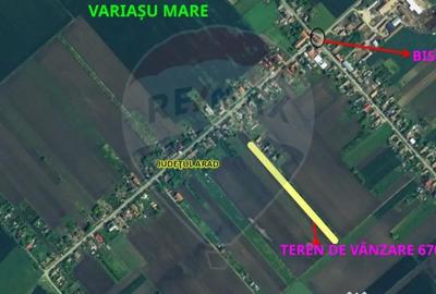 Teren de 6700 mp, în Variașu Mare - 3