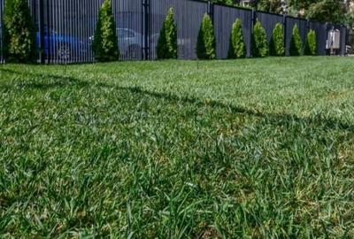 Birou, de 72 mp, în Tomis III - 11