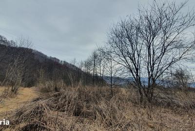 Teren de 2800 mp, în Sovata - 2