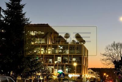 Casa individuala Centru - Palas Campus - 1