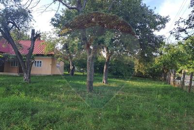 Casa de vanzare, 3 camere, langa manastirea Runc - 4