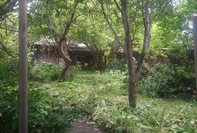 Casă cu Teren 287 Mp în Central - 5