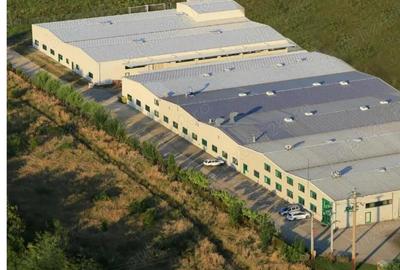 De inchiriat hala de produc?ie 7700 mp hale in zona Freidorf - 2